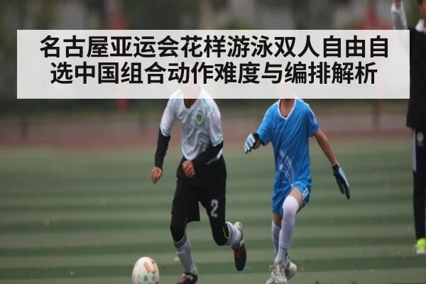 名古屋亚运会花样游泳双人自由自选中国组合动作难度与编排解析